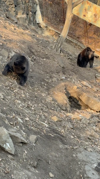 Были на экскурсии в Находку 3 февраля с Екатериной