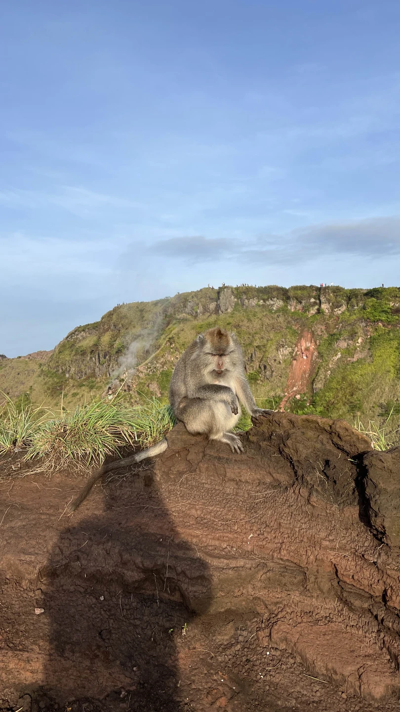 Восхождение на вулкан Батур это конечно незабываемый маршрут, но оно того стоит. Главное прошу обратить внимание