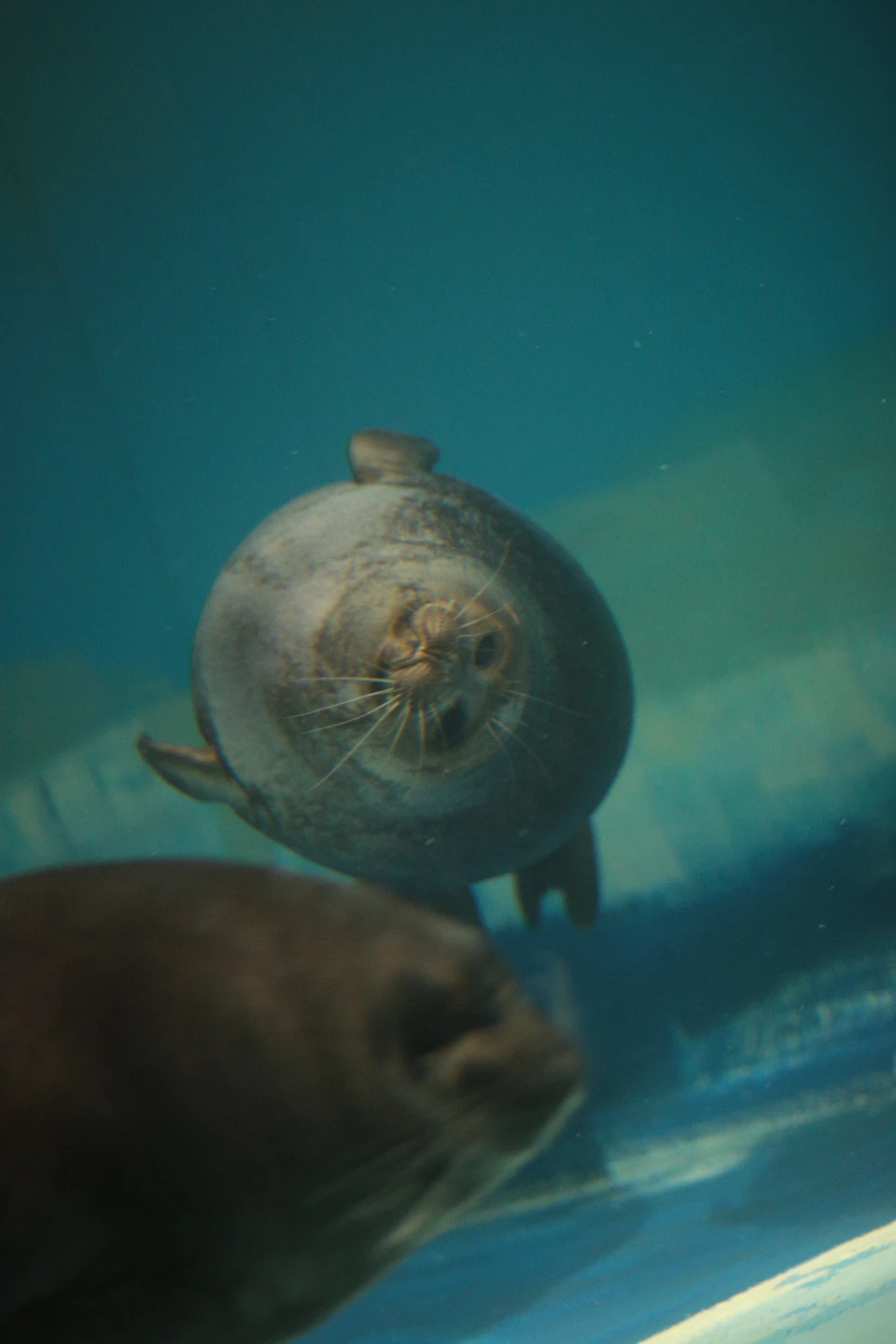 Александр - очень образованный, интеллигентный человек и потрясающий рассказчик!