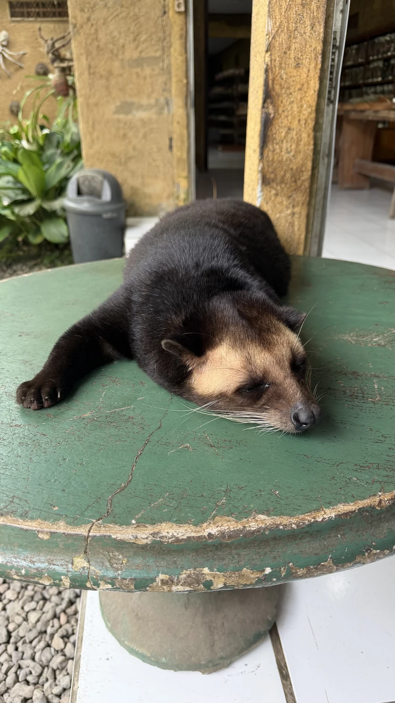 Бали, который вы ждёте (Юлия)