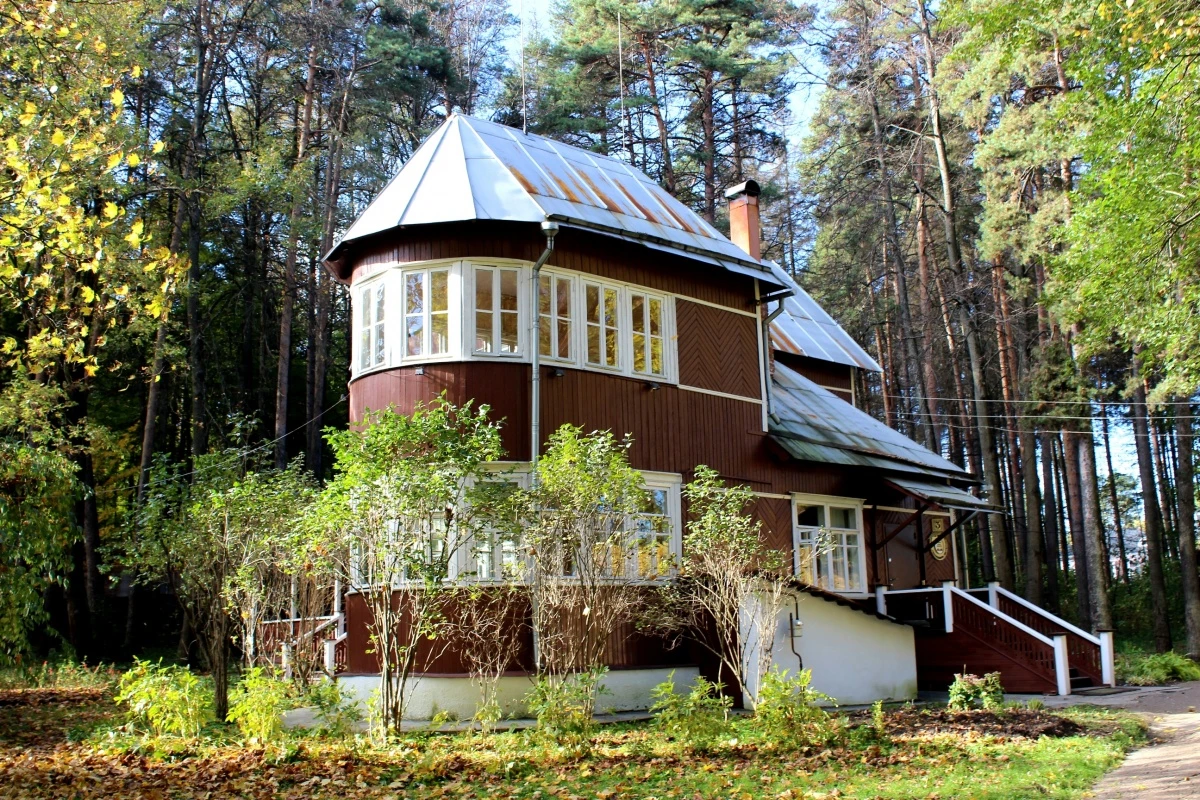 Писатели Переделкино (2/7)