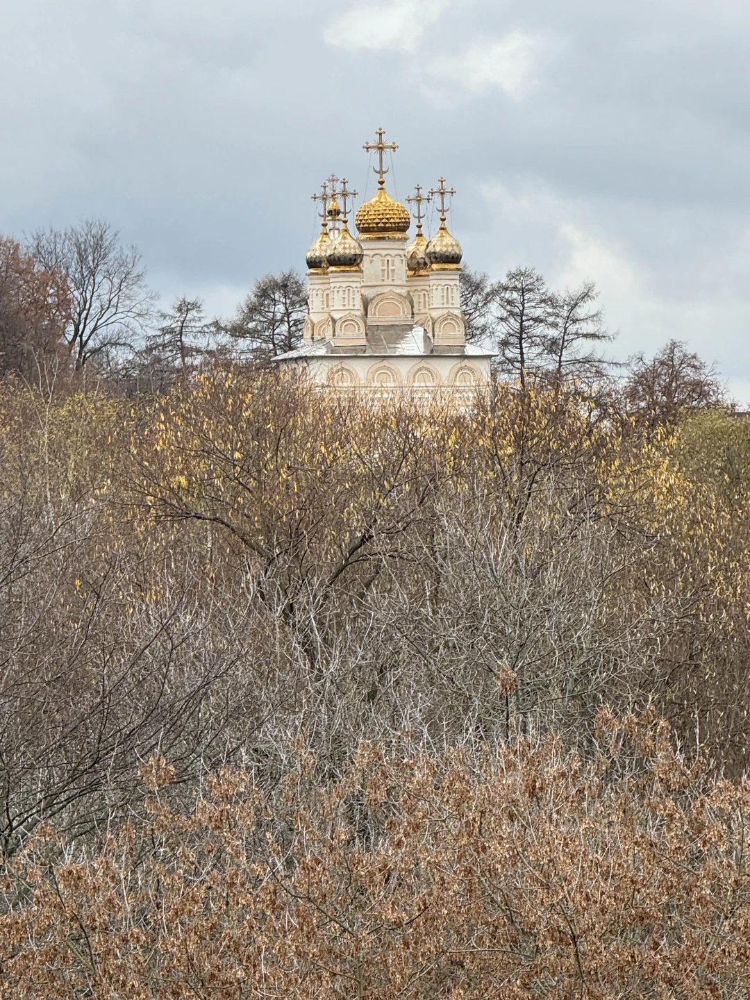 Рязань косопузая: прогулка по историческому центру (Николай)
