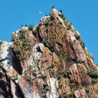 Фото отзыва 3: экскурсия "Релакс-путешествие по островам Японского моря — с гастрономической паузой"