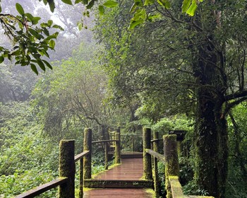 Дои Интханон - вершина Таиланда и водопады, возвращение в Чиангмай
