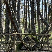 Фото отзыва 1: экскурсия "История и легенды Куршской косы с гидом-писателем без пробок и толп"