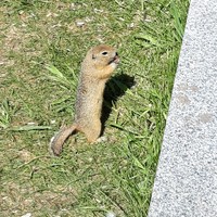 Фото отзыва 6: экскурсия "Знакомство с Красноярском"
