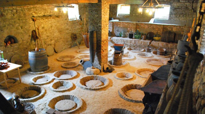 Алазанская долина — старинный край виноградарства (8/11)