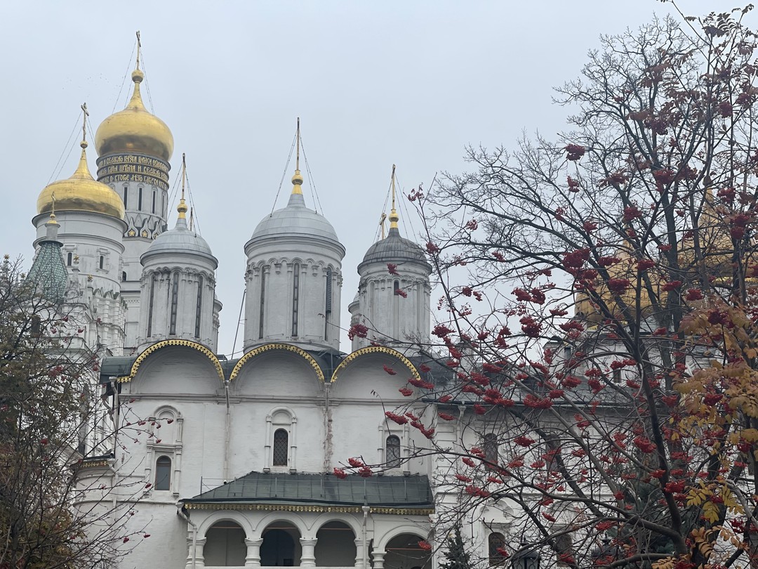 Московский Кремль с гидом-историком (Елена)