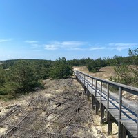 Фото отзыва 4: экскурсия "Куршская коса — царство моря, дюн и птичьих голосов"