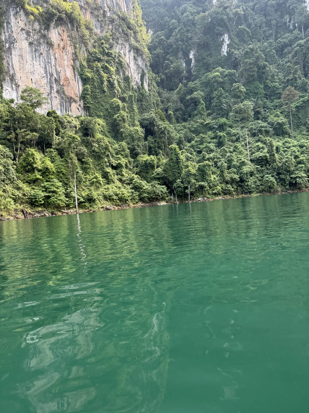Все прекрасно, встретили вовремя, все рассказали, показали. Рекомендую.