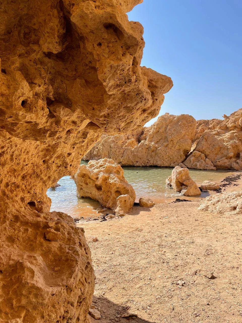 Сегодня были на экскурсии с супругой. Сказать, что мы в восторге - значит поскромничать! Махмуд очень