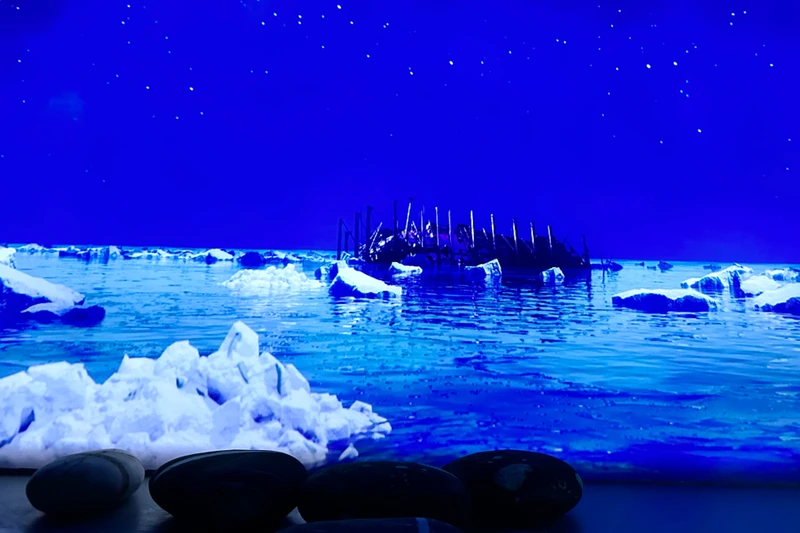 Билет на мультимедийную выставку в Москве «Большая Страна»