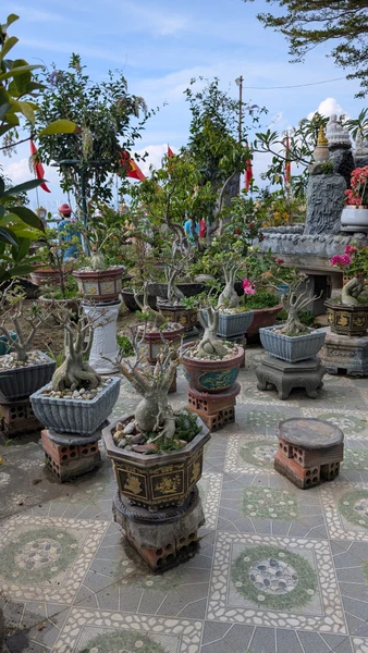 Нячанг - жемчужина Вьетнама (Алина)