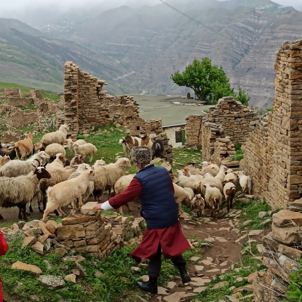 Виды Из Махачкалы в горы — к древним аулам Кахиб, Гоор и Языку тролля