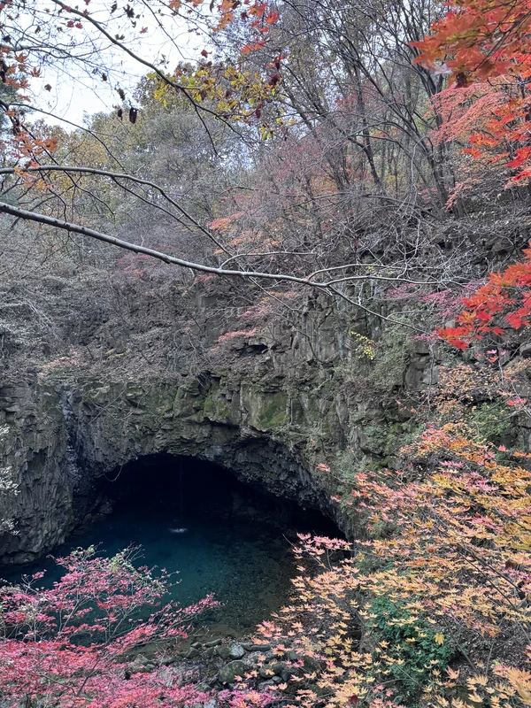 Заповедная Корея: парк ЮНЕСКО, водопад, стеклянный мост и обед (всё включено)