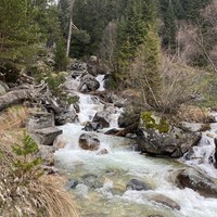 Фото отзыва 3: экскурсия "Горная сказка Домбая"