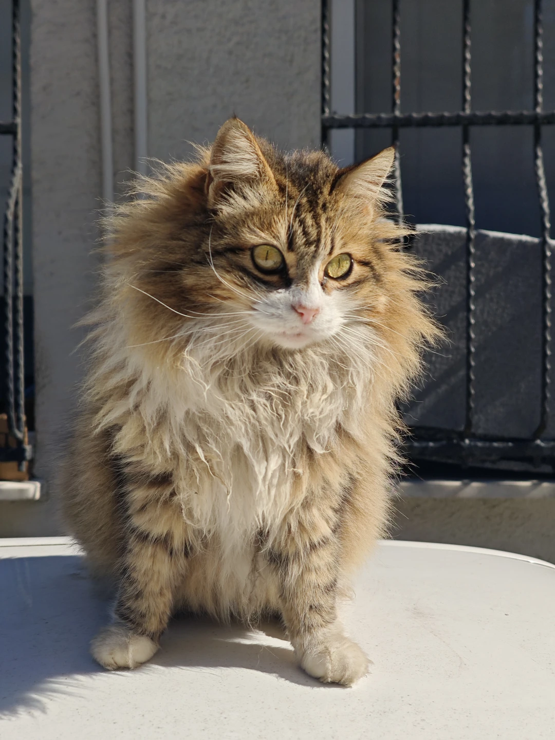 Могу сказать, что экскурсия полностью соответствует описанию. Прекрасный гид, очень интересный и познавательный рассказ на протяжении