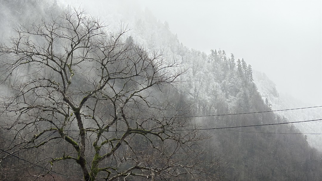 Это просто вау! Ездили в начале января) было холодновато и дождь! но это никак не испортило