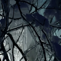 Фото отзыва 2: экскурсия "Секреты снежных вершин: из Мурманска — в Кировск и Хибины"