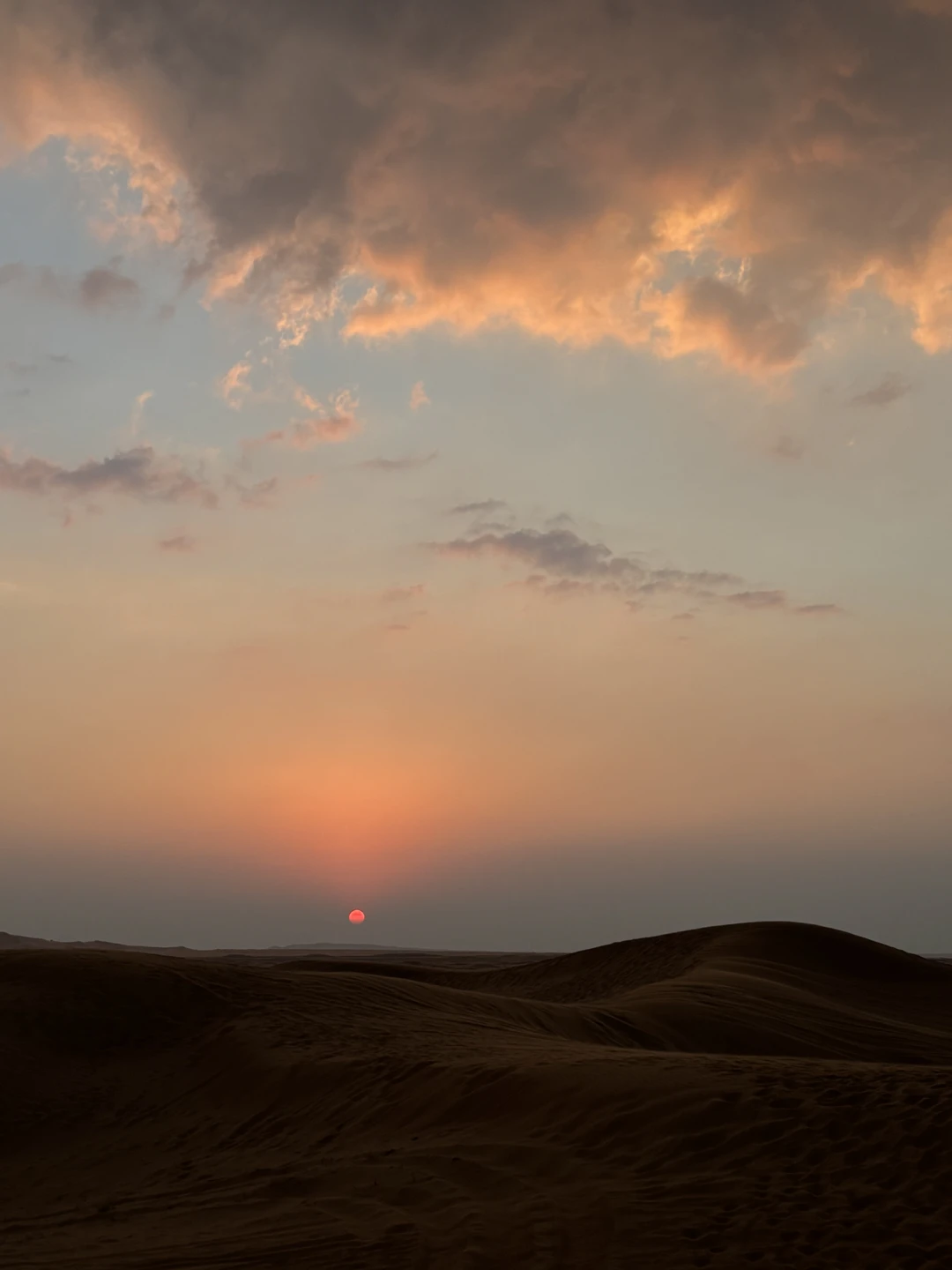Супер! Специально искала экскурсию без заезда в деревню бедуинов, нашла только эту. Евгения всегда была на