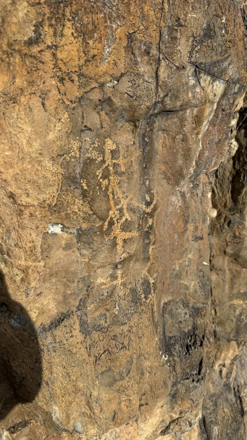 Вячеслав отличный рассказчик. Много знает исторических фактов. Слушали с большим интересом