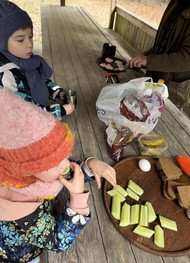 Фото отзыва 1: экскурсия "Бизон-сафари в Беловежской пуще"