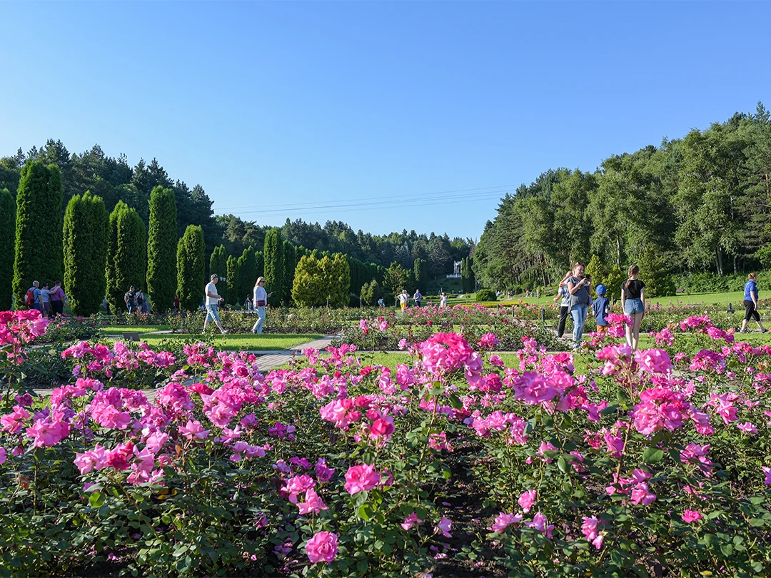 Почему стоит посетить Долину роз