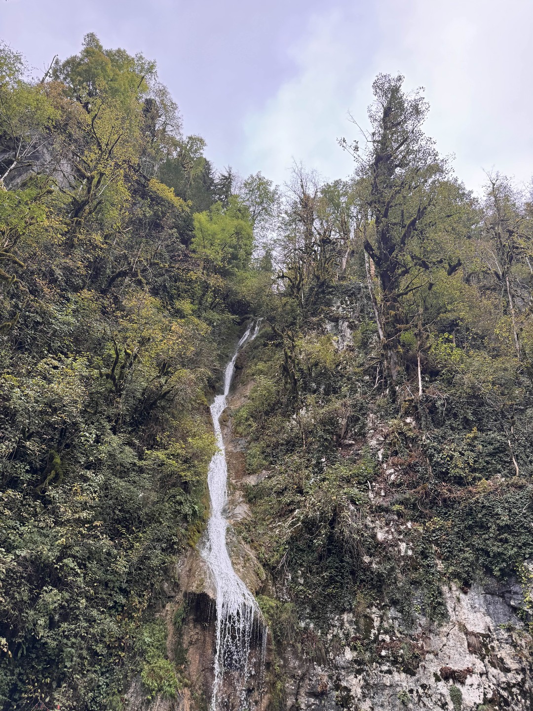 Индивидуальная экскурсия по солнечной Абхазии (Ирина)