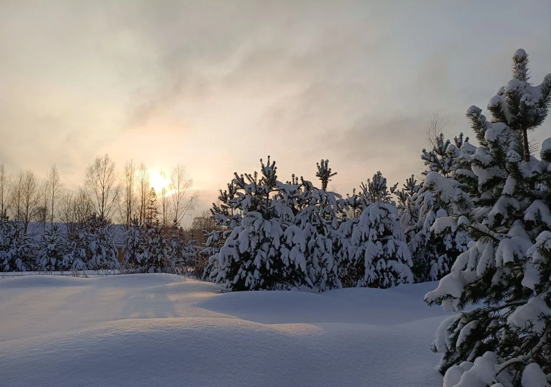 Поехали знакомиться с историей, а попали в сказку! Путешествие начинается с рассказа об истории возникновения барок