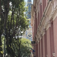 Фото отзыва 3: экскурсия "Батуми глазами местных жителей"