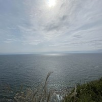 reviews img