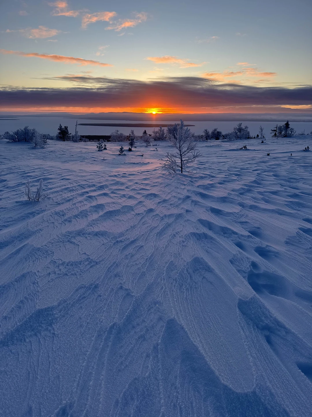 Спасибо мы в восторге!
