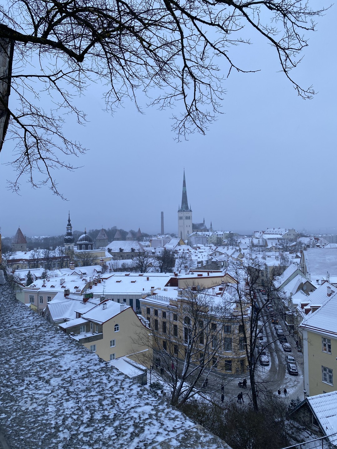 Выражаем благодарность нашему гиду Елене за прекрасную экскурсию по "Средневековому Таллину". Елена, спасибо за интересно предоставленную