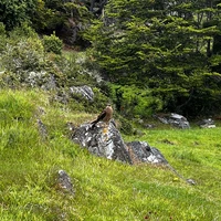 Фото отзыва 3: экскурсия "Треккинг между двумя океанами: залив Бигль во всей красе"