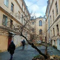 Фото отзыва 1: экскурсия "По Васильевскому с островитянином!"