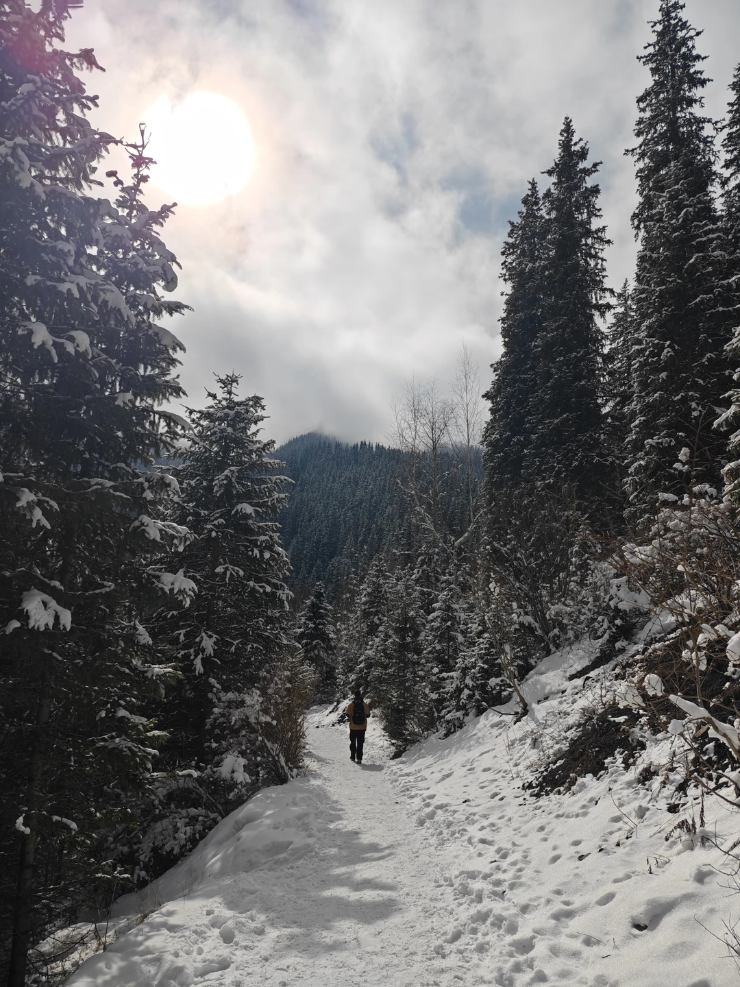 Очень понравилась поездка! Каньон поразил своим величием. Проходя по каньону мы видели то замки, то леса