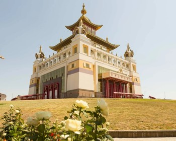 Любуемся тюльпанами и наблюдаем за птицами, "Одинокий тополь", "Золотая обитель Будды Шакьямуни", прогулка по Элисте
