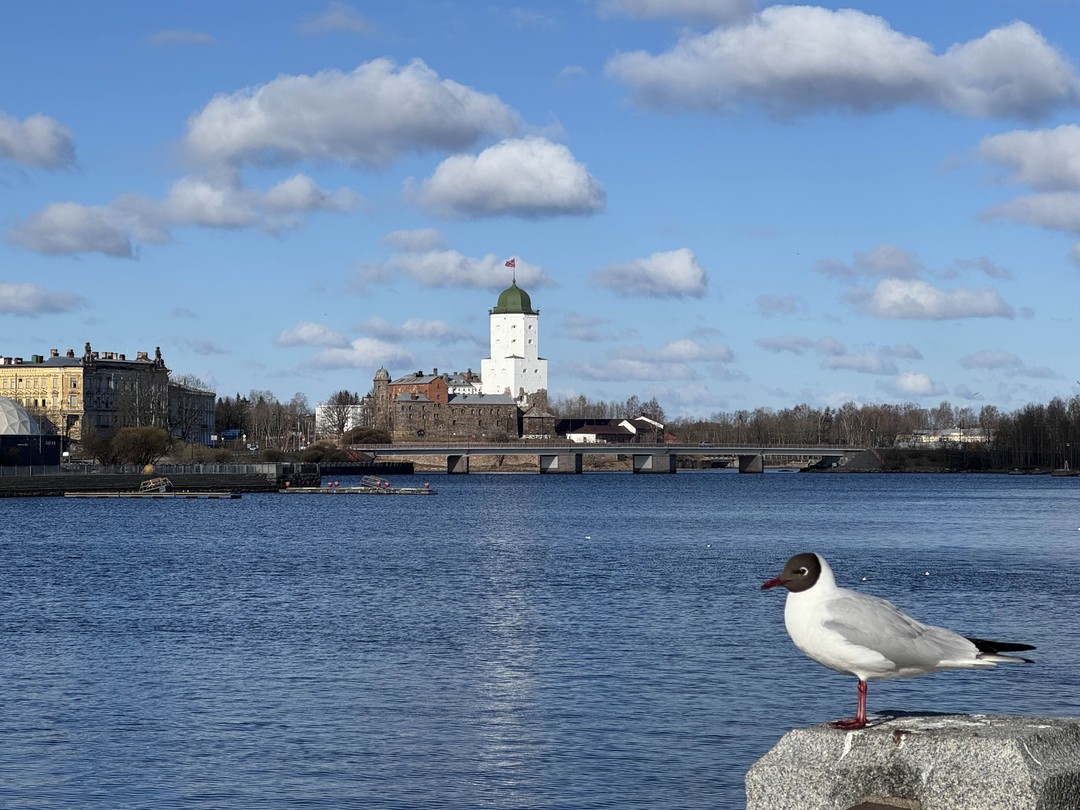Все краски Выборга на авто (Кристина)