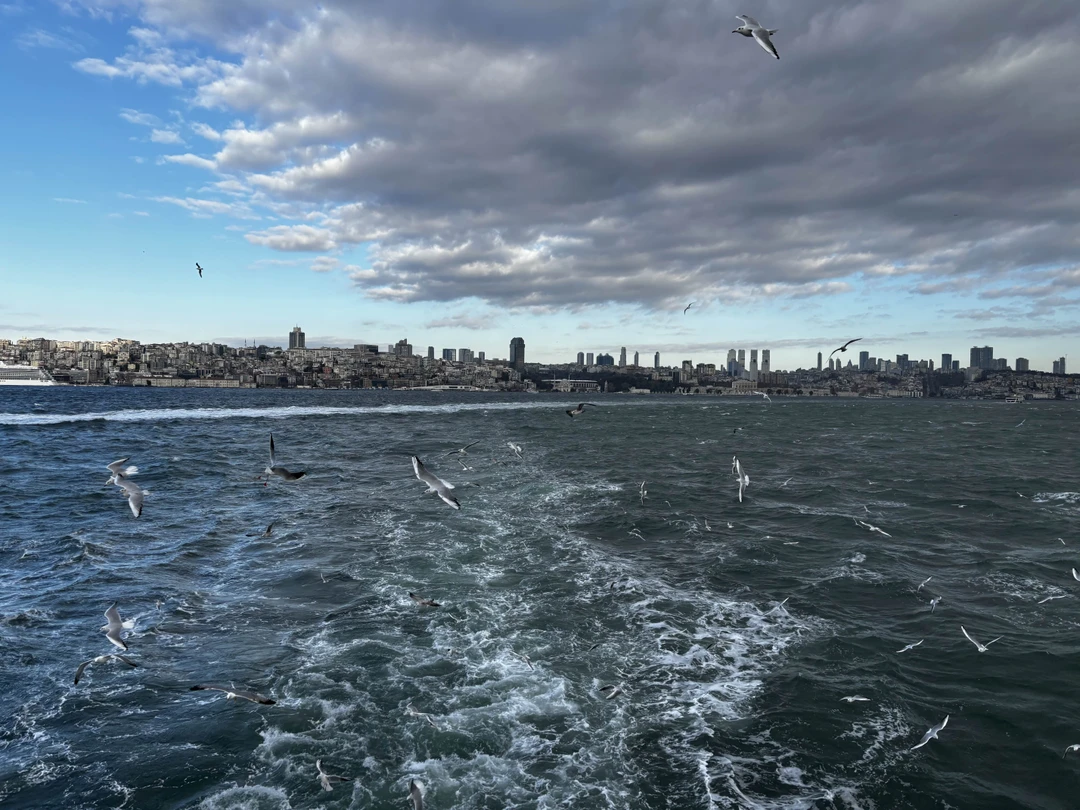 Гастрономическое путешествие: изюминки турецкой кухни (Малинина)