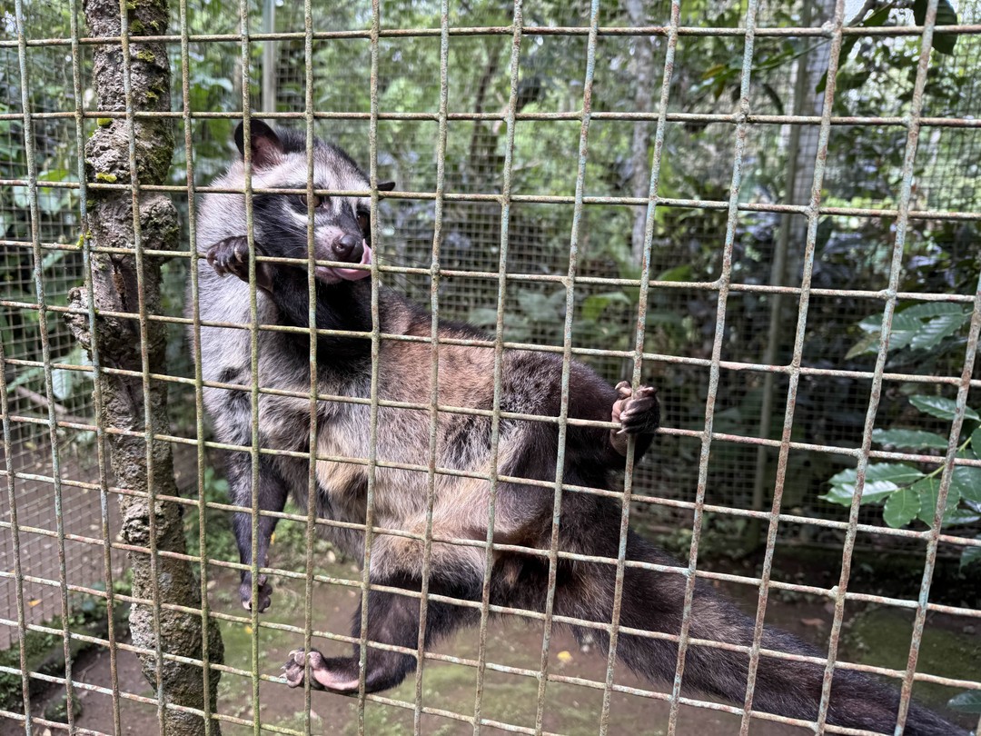 Отличная поездка и интересные, яркие и колоритные места!