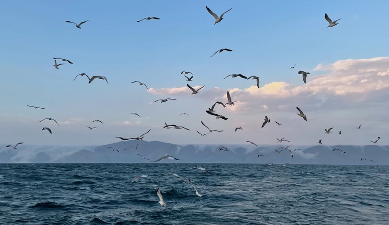 Красавица Армения: Севан и Дилижан