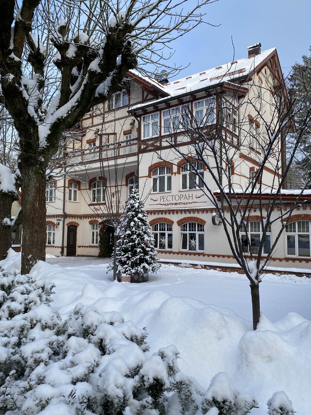 Съездить в Светлогорск в Рождество- как побывать в сказке! Город украшен, чувствуется праздник!