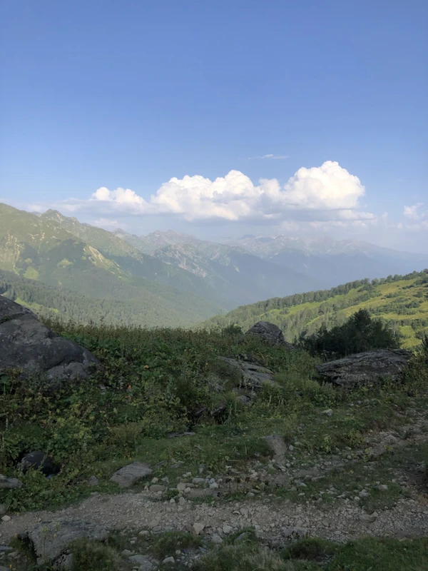 Дорога сквозь историю: однодневная поездка из Самарканда в Бухару