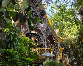 Водопады, пагода Линь Ун, Долина богов, Деревня хоббитов, стеклянный мост, дегустация