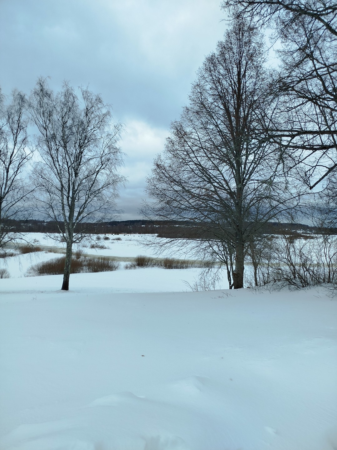 Из Пскова в Пушкинские Горы: Михайловское и Тригорское (Ирина)