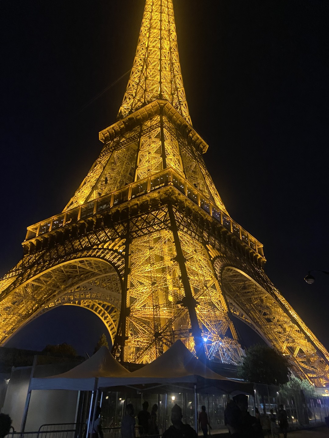 Покорение Эйфелевой башни (Ольга)