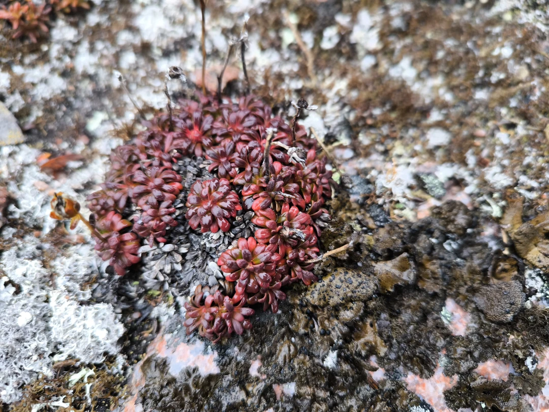Поездка прошла с гидом Алексеем. Все очень понравилось, Алексей интересно рассказывает о природе и истории края