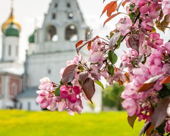 Коломна: кремль, купеческие особняки, храмы, музеи