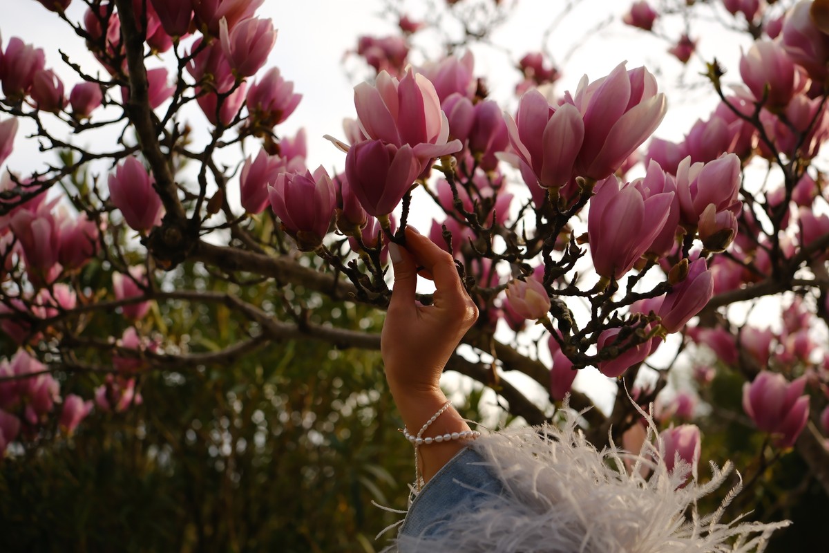 Фотопрогулка по центральному Сочи (11/15)