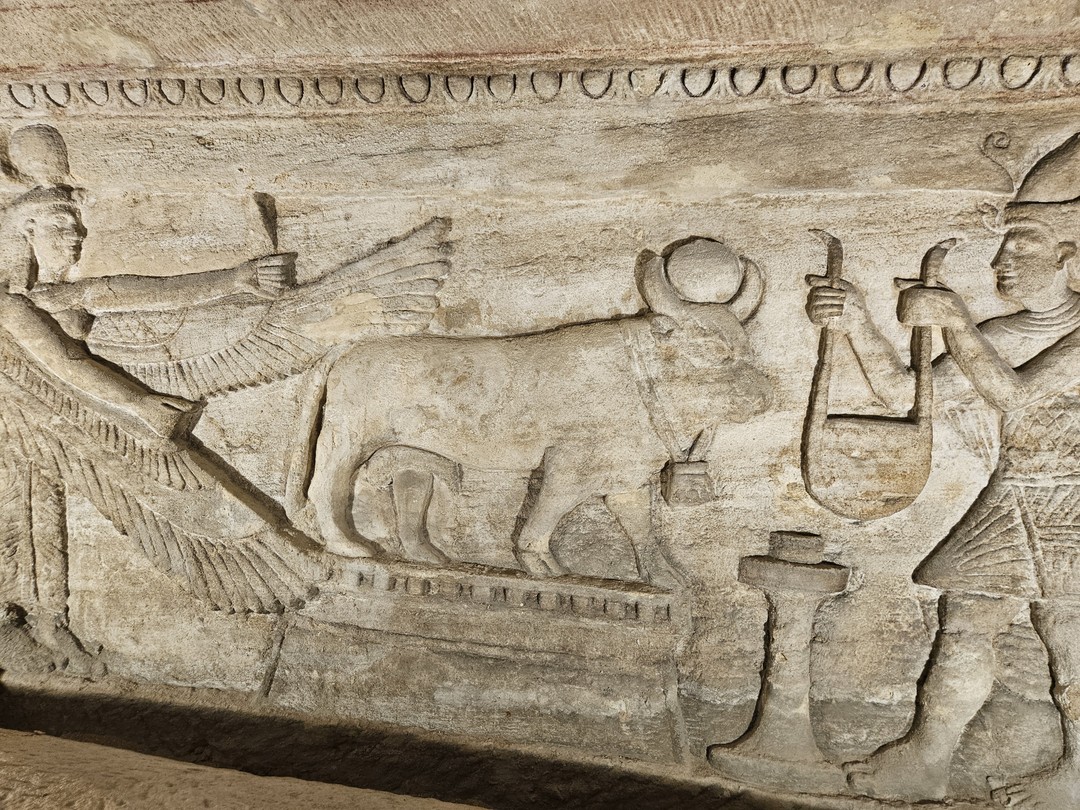 Мы с семьей ездили на экскурсию в Александрию из Каира. После Каира, это был глоток свежего